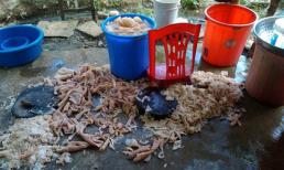 Trần tình của chủ cơ sở bị "tố' chế biến nem giữa sàn nhà