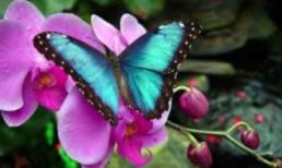 Tử vi 12 chòm sao ngày 25/6