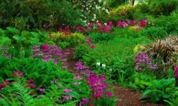 Tử vi 12 chòm sao ngày 26/6