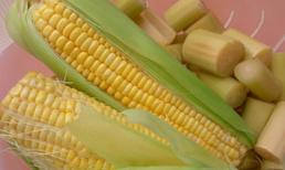 10 loại nước chữa bệnh 'nóng trong' cực hiệu quả