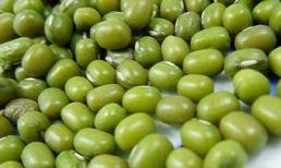 Chữa khỏi bệnh gút đơn giản theo cách của người Tày