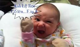 Ảnh chế siêu hài về chàng ca sĩ nông dân Lệ Rơi