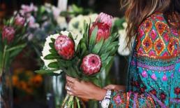 Tử vi 12 chòm sao ngày 29/6