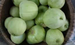 Ăn dưa lê, mẹ trắng hồng, con đủ chất!