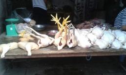 Rùng rợn “công nghệ” nhuộm gà bằng hóa chất độc hại