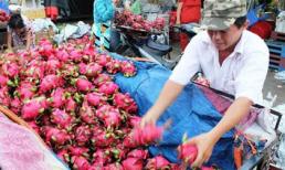 Trái cây dội chợ, rớt giá hàng loạt