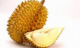 Những người mang bệnh sau chớ ăn sầu riêng mà mang họa