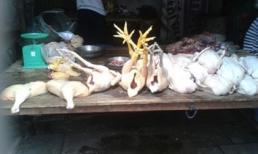 Bàng hoàng công nghệ tẩm gà vàng bằng... bột sắt