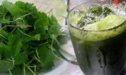 Rau má: Dùng không đúng cách có thể gây hại tế bào máu, gan, thận