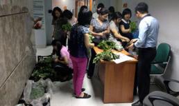 Thời ề hề rau sạch, chở ôtô bán tận công sở