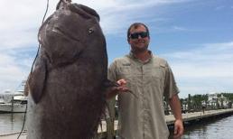 Con cá mú khổng lồ có cân nặng hơn trăm ký, cao vượt đầu người