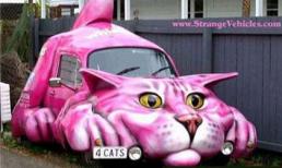 Những xế hộp kỳ dị nhất thế giới