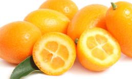 6 loại thực phẩm giúp tăng cường khả năng sinh sản