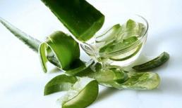 Lợi và hại khi tiêu thụ nước ép lô hội