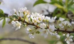 Thứ Bảy của bạn (7/6/2014)