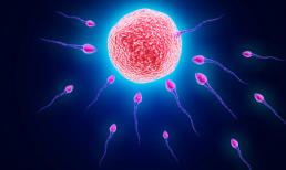 Lợi ích cực tốt của tinh trùng với phụ nữ