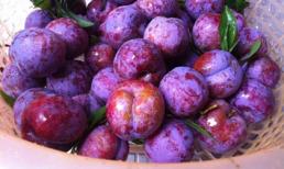 Giải độc, thanh nhiệt, dưỡng nhan nhờ mận