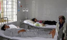 Ăn côn trùng nghi là bọ xít, 38 người nhập viện, 1 người chết
