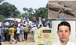 Cá sấu dài 3m xuất hiện trên máy bay khiến 19 người thiệt mạng