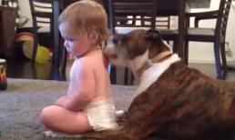 Em bé sung sướng khi được cún "matxa"