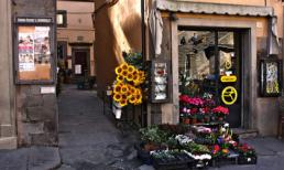 Đất nước hoàn hảo dành cho 12 cung hoàng đạo