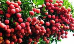 6 mẹo nhỏ giúp trị bệnh viêm xoang