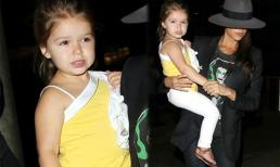 Harper lớn ngỡ ngàng sau một thời gian ngắn "vắng bóng"