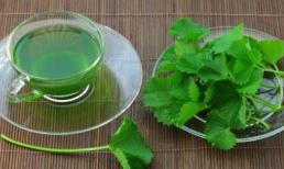 Bài thuốc đơn giản trị say nắng, say nóng