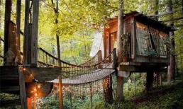 Những ngôi nhà cây độc đáo nhất thế giới