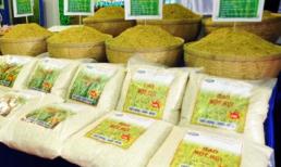 Kinh hoàng phát hiện gạo nhiễm chất gây thư