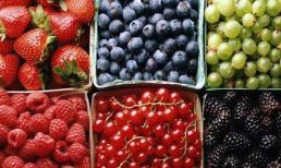 6 loại thực phẩm bồi bổ cho não của bạn