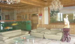 Biệt thự 50 tỷ làm từ đá nhập ngoại của đại gia Hà Thành