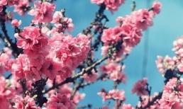 Tử vi 12 chòm sao ngày 4/7