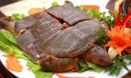 List món ngon nhắc là thèm từ ba ba