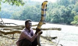 Người đàn ông giải cứu hơn 30.000 con rắn