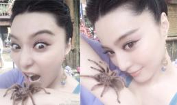 Phạm Băng Băng khoe ảnh đẹp không tỳ vết, đáng yêu với nhện