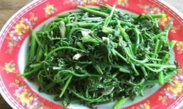 Nhớ hương rừng qua vị rau dớn