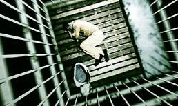 Hình thức tra tấn đáng sợ nhất lịch sử nhân loại