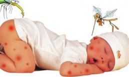 Phòng ngừa và điều trị bệnh viêm não Nhật Bản