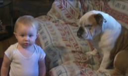 Bé con trò chuyện với cún cực đáng yêu và hài hước