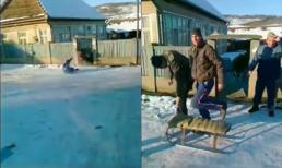 Thú vui ngày đầu năm của thanh niên Romania