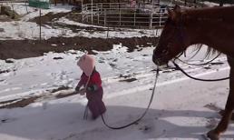 Cô bé dắt ngựa đi dạo cực yêu