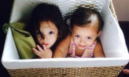 Cặp song sinh nhà Hồng Nhung tinh nghịch ngồi trong giỏ mây