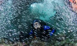 Cảnh tượng kỳ thú dưới lòng biển