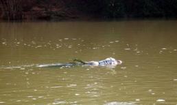 Mẹ ngất xỉu khi phát hiện xác con trong bao tải trôi sông