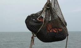 Tìm thấy thêm 3 thi thể nạn nhân máy bay QZ8501