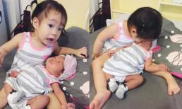 Con gái Lý Hải tập tành chăm em cực khéo