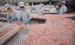 Xuất khẩu thủy sản vượt kế hoạch gần 1 tỉ USD