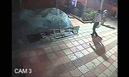 Suýt chết vì đi đổ rác lúc nửa đêm