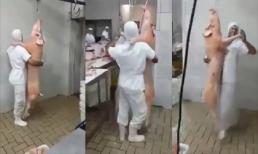 Đam mê cuồng nhiệt với khiêu vũ